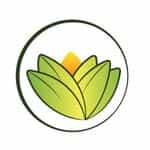 The Ayurveda Experience SA logo