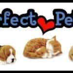 Perfect Petzzz logo