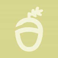 Acorn Strategy logo