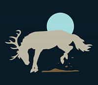 Buck98™ logo