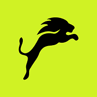 Saleslion Suomi Oy – Ecommerce Growth Partner