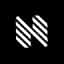NETHYPE logo