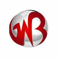 Gowebbaby logo