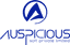 Auspicious Soft Pvt. Ltd logo