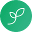 KiwiSprout logo