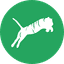 KSTiger Fancy Commerce logo