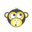 YellowWebMonkey Web Design logo