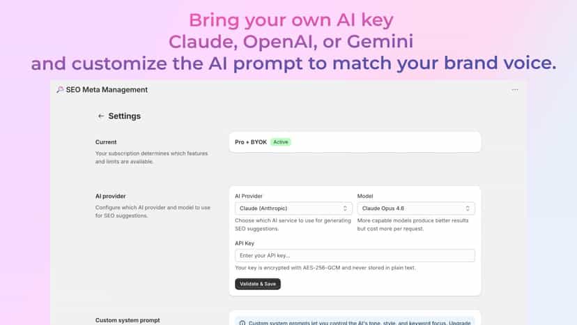 Settings page with AI provider config and custom prompt field