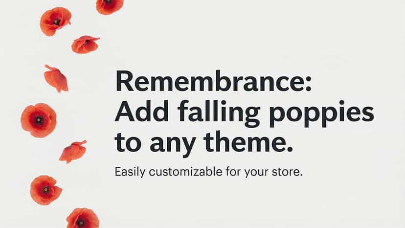 Add to any theme on your Shopify store