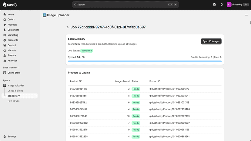 Job details view showing successful bulk image sync progress