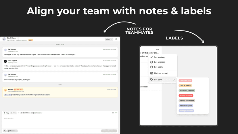 Team Collaboration