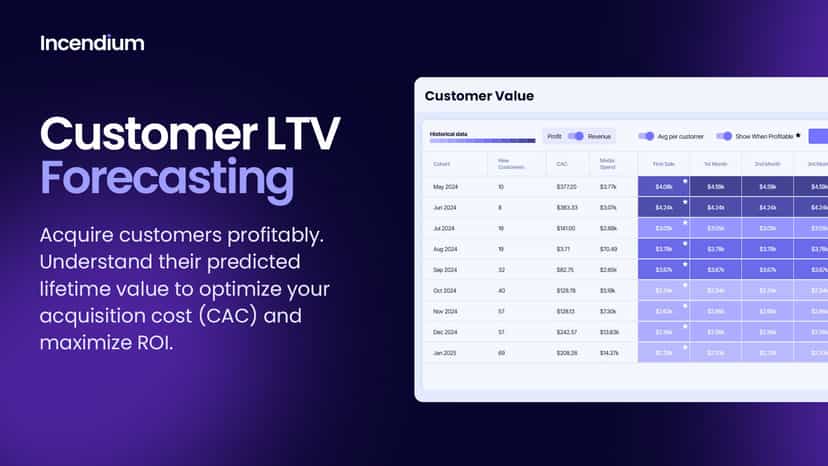 Customer LTV Forecasting