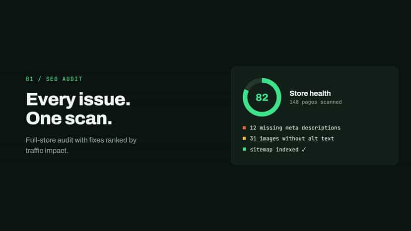 RankIQ SEO audit with store health score and issues found