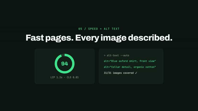 Page speed score with bulk image alt text results