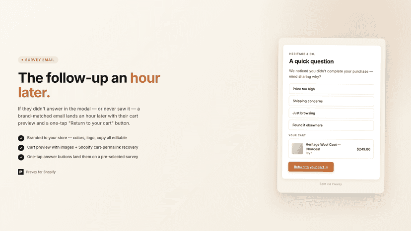 Branded follow-up survey email with cart preview