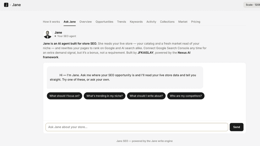 Ask Jane: an AI agent that answers about your store's SEO