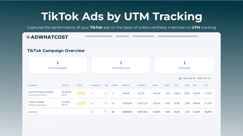 AdWhatCost - TikTok Ads Campaign Overview Page Screenshot