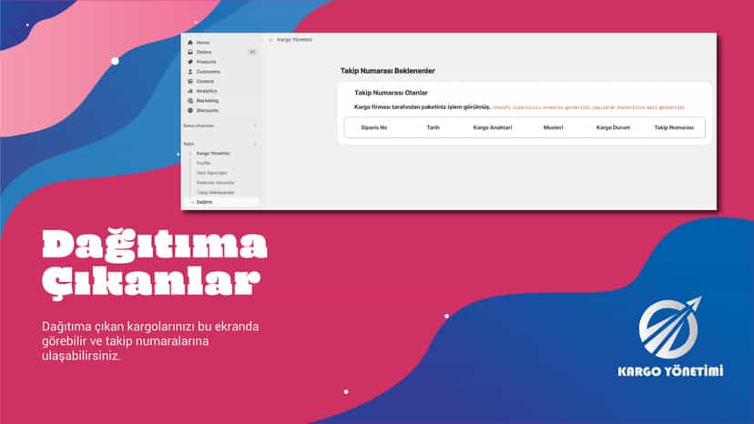 Dağıtıma Çıkanlar Ekranı