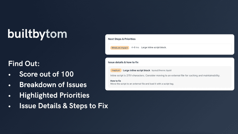 Audit scores out of 100 and shows a breakdown of any theme issue
