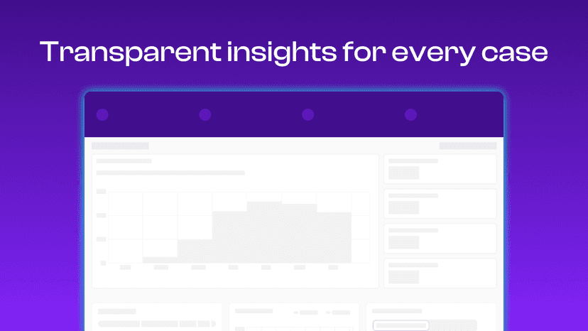 Access insights from your disputes