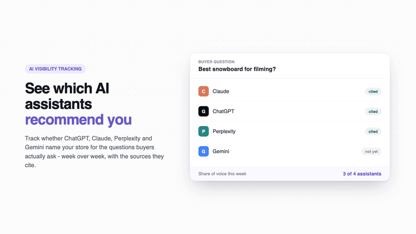 Tracking which AI assistants cite your store