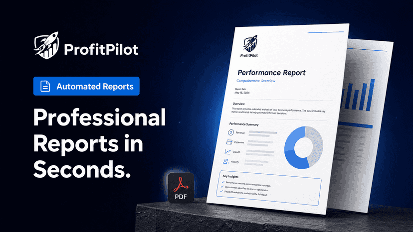 Professional automated profit reports for Shopify