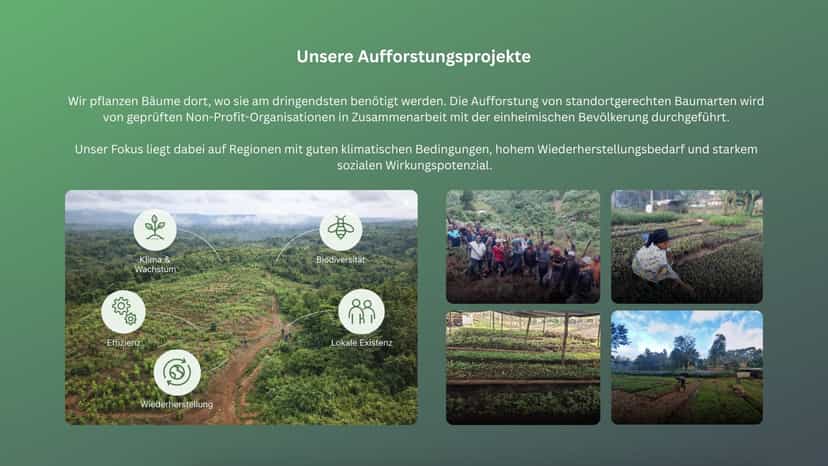 Unsere Aufforstungsprojekte