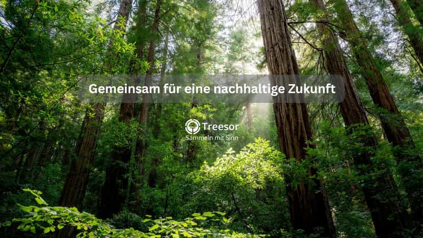 Gemeinsam für eine nachhaltige Zukunft