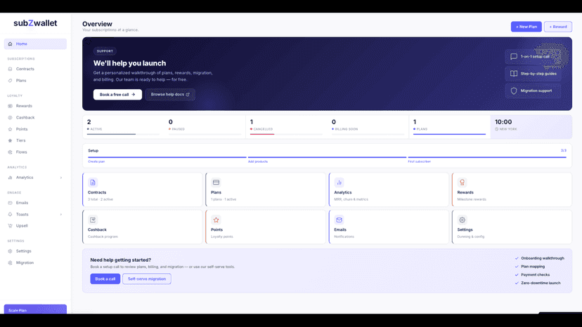 subZwallet dashboard with subscription overview