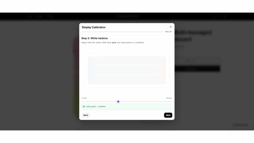Allows them to adjust key aspects like white balance.