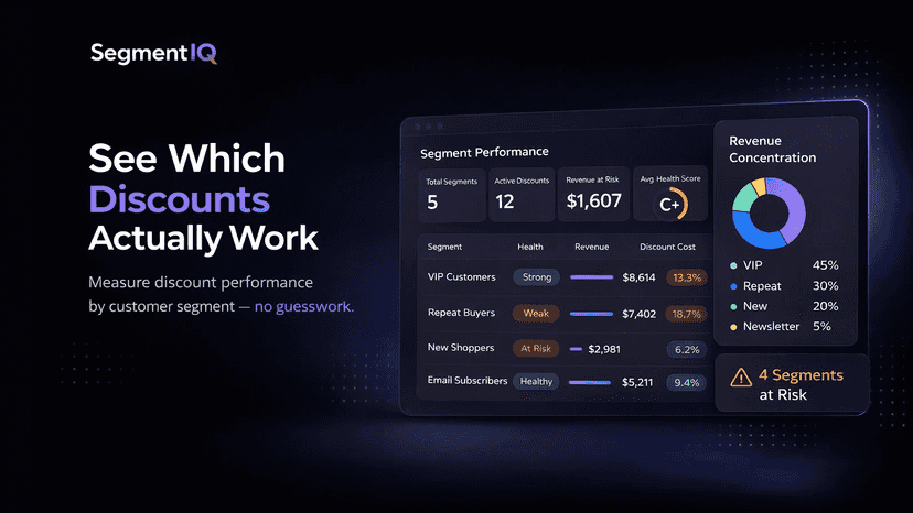 SegmentIQ segment performance and revenue concentration overview