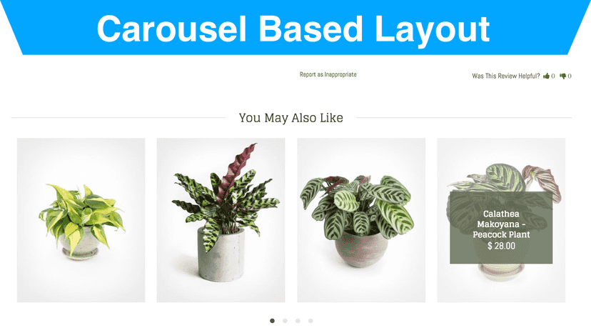 Carousel Based Layout