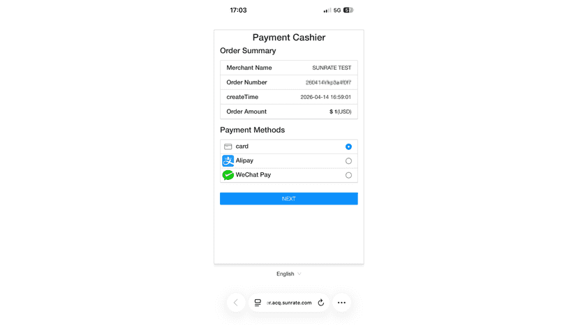 Support card and wallet payments