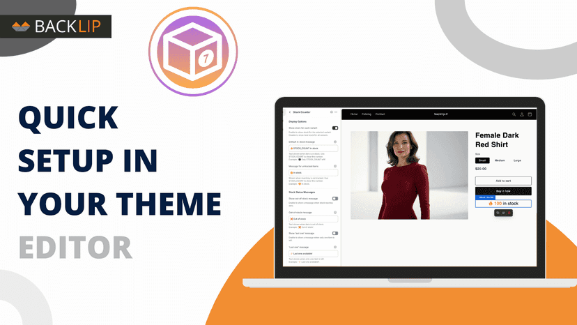 BL Stock Counter - QUICK SETUP IN YOUR THEME EDITOR