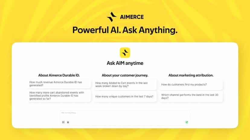 Powerful AI to learn about your first-party data.