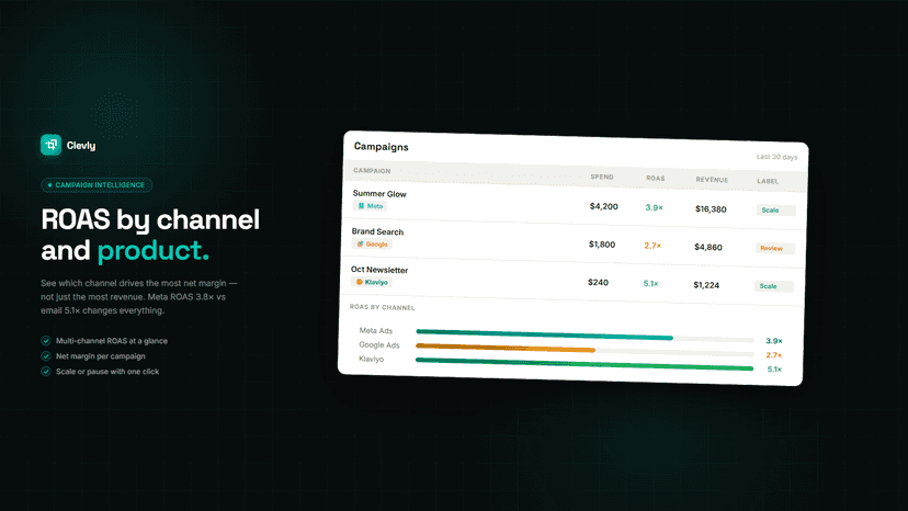 Clevly Campaigns: ROAS by channel, Meta vs email