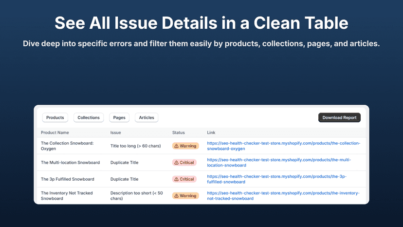 Detailed SEO metadata audit table.