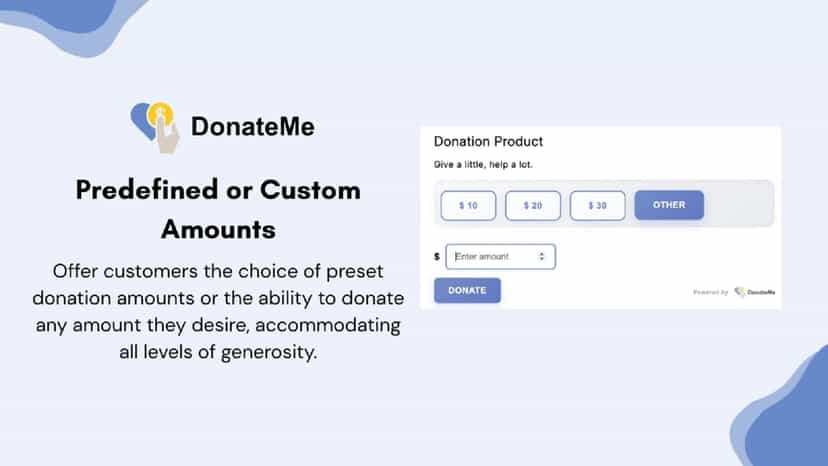 Predefined or Custom Donations Amounts and Charity