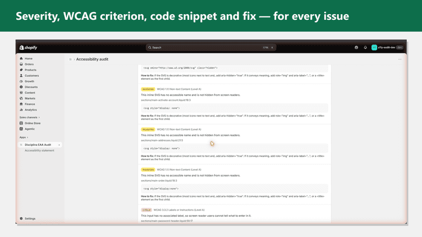 Issue list with severity, WCAG criterion, code and fix guidance