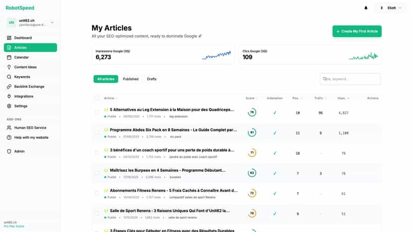 Analytics dashboard showing organic traffic and performance