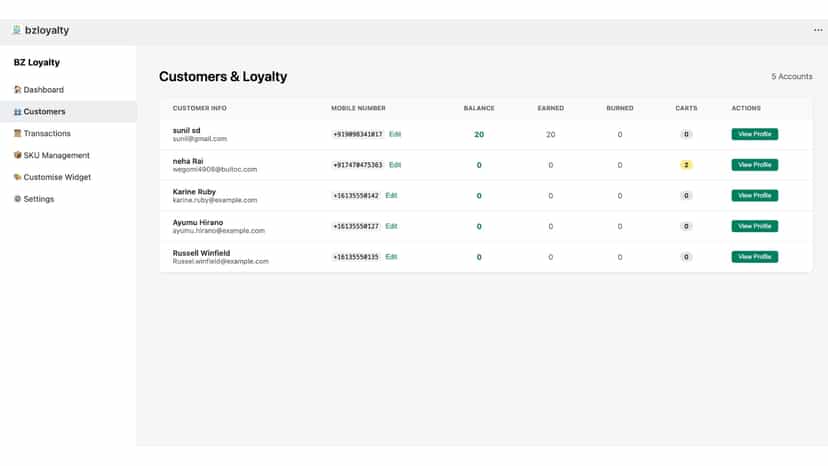 Customer loyalty table with points balance and activity