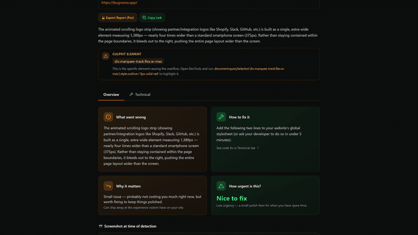 Bug detailed