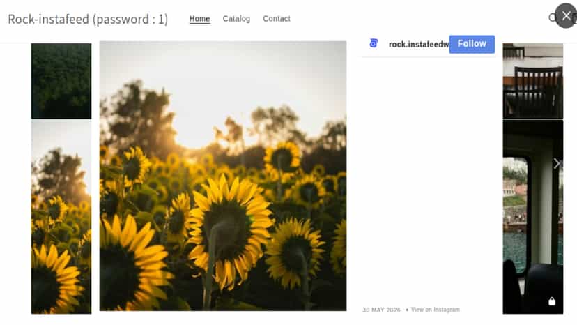 frontend_instafeed