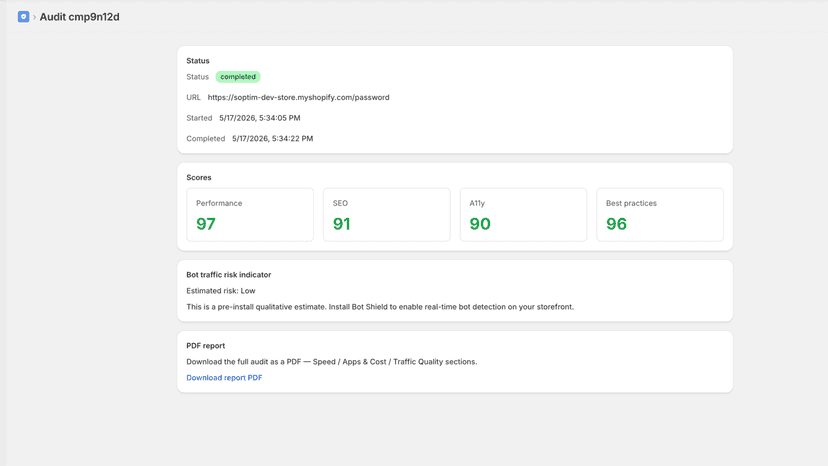 Store audit report with speed, app costs, and bot risk sections
