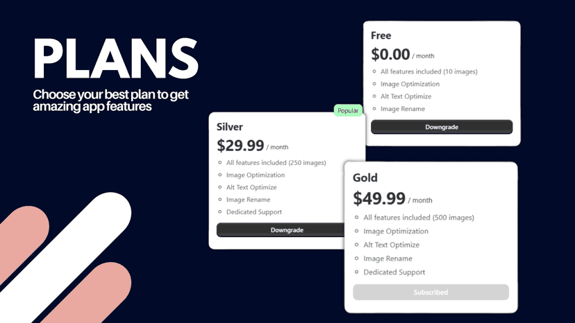 Pricing Plans and Options