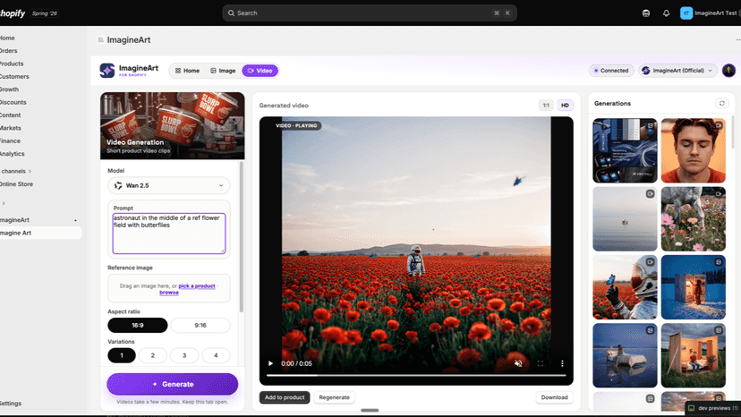 Video Generation