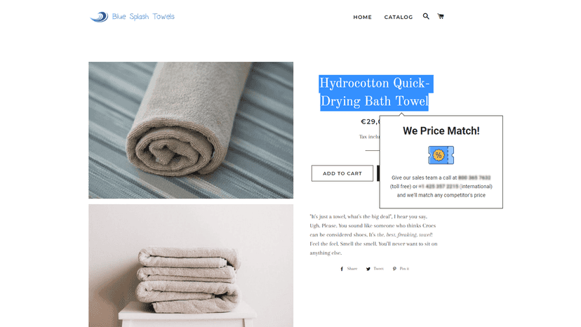 Smart Price Match Popup Preview on Demo Store