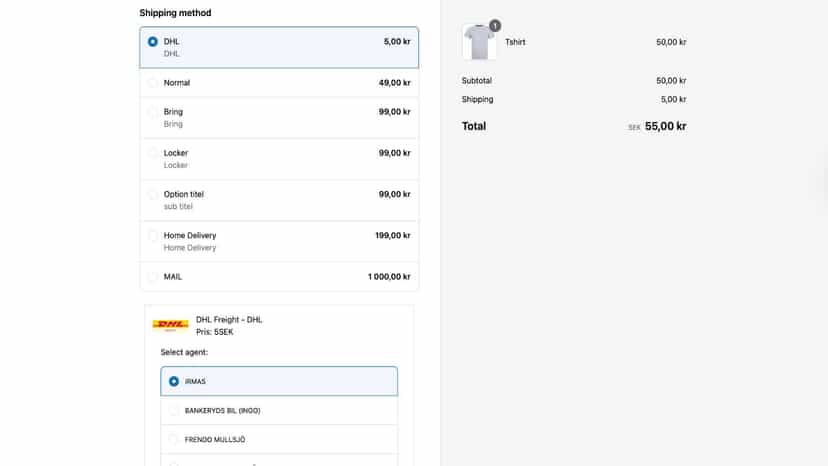 Checkout extension