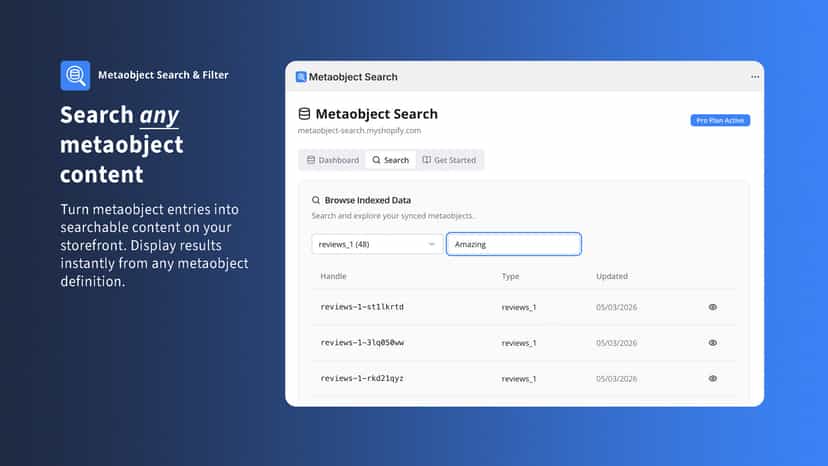 Search indexed metaobject entries