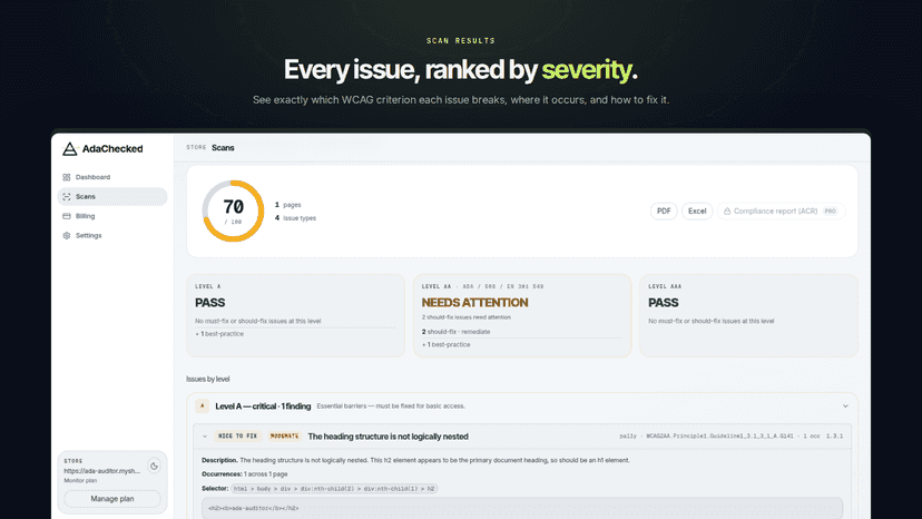 Accessibility issues listed by WCAG level and severity